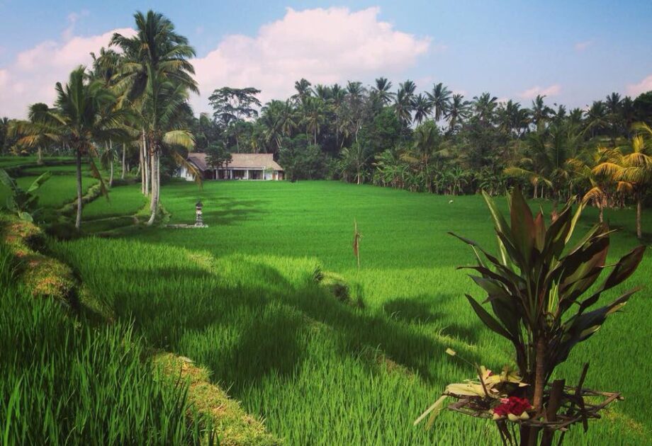 Vila Heaven Ubud 14